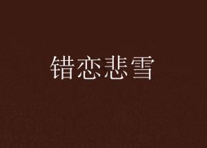 小将镇召开2023年度村干部工作总结大会